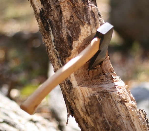 Bomen laten kappen